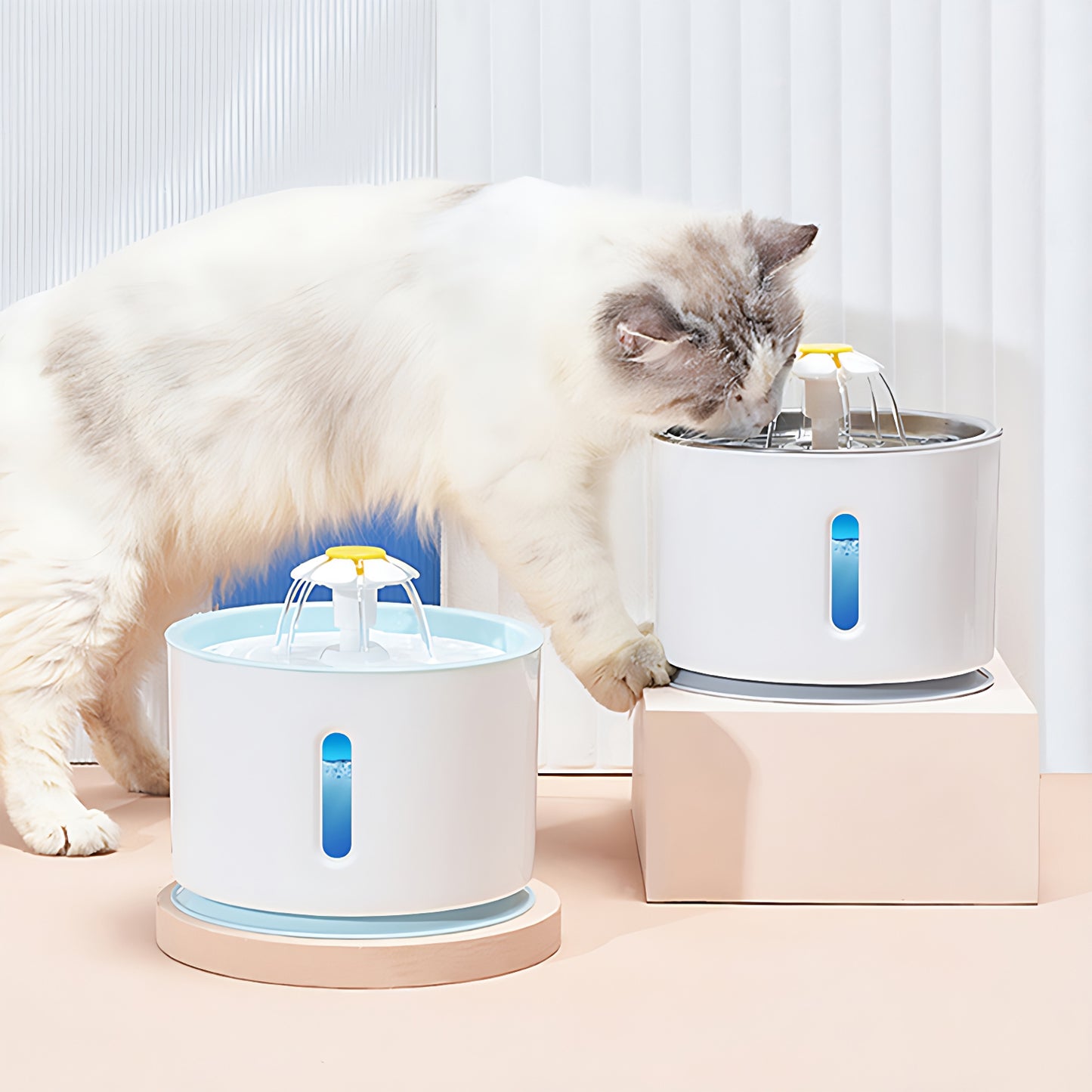 Sips Fountain
