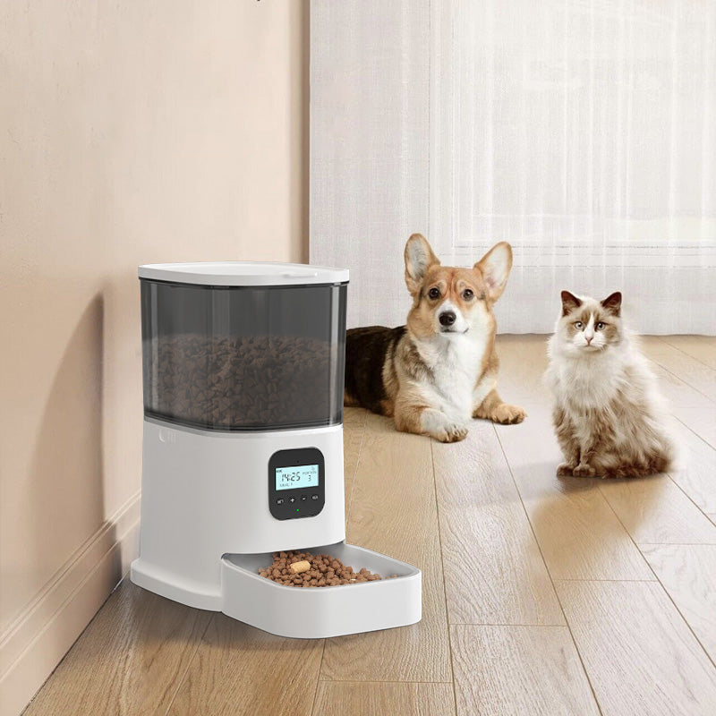 Paws Feeder With Keyboard