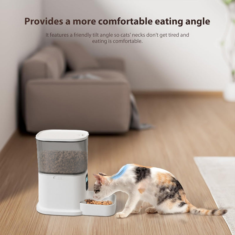 Paws Feeder With Keyboard