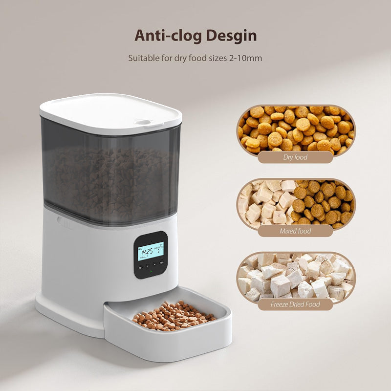 Paws Feeder With Keyboard