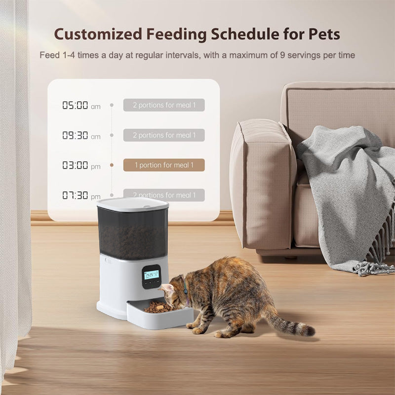 Paws Feeder With Keyboard