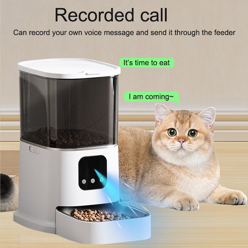 Paws Feeder With WIFI