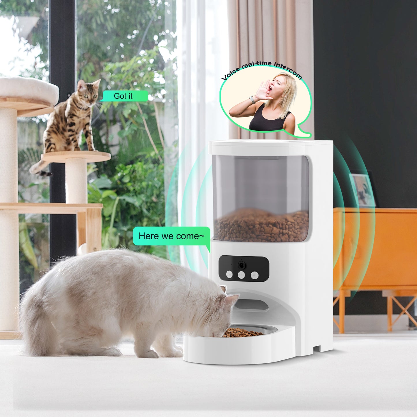 Tasty Feeder With Camera Pro Single Tray