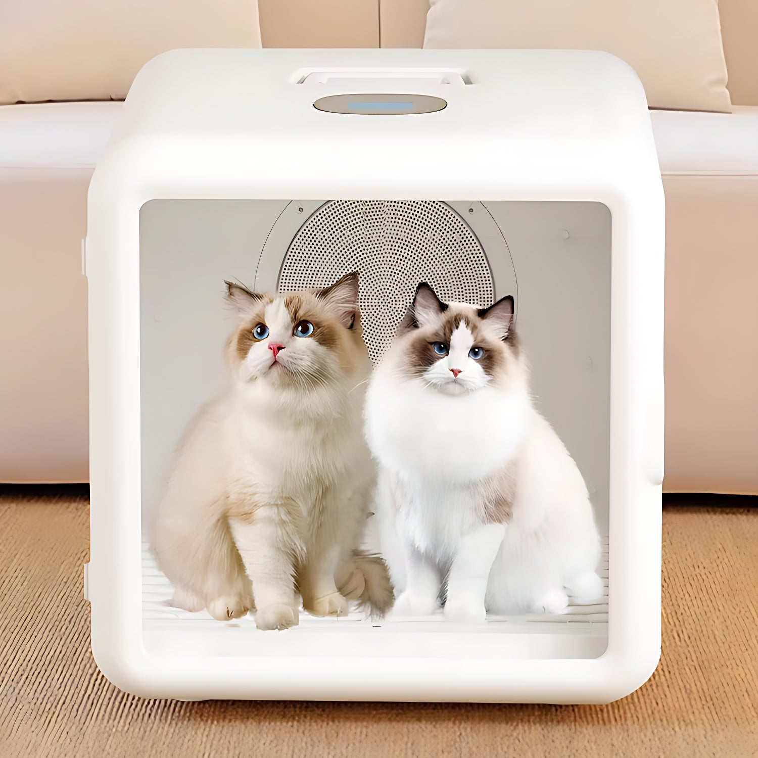 Pet drying box