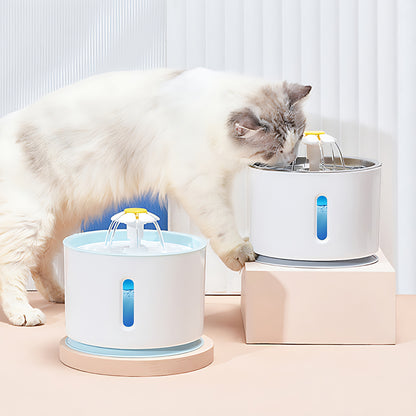 Sips Fountain