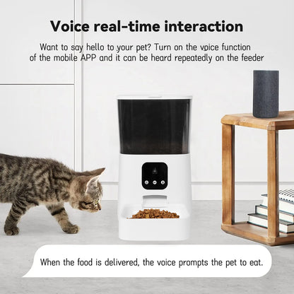 Clever Feeder With Camera 6L