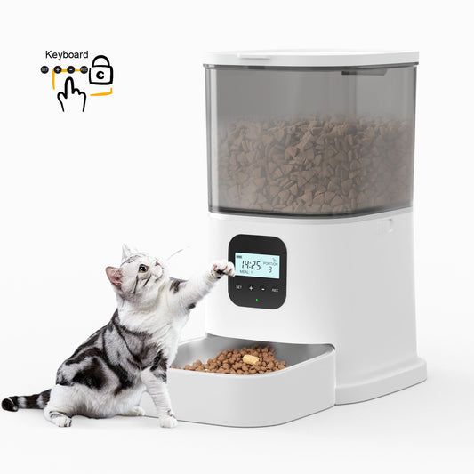 Paws Feeder With Keyboard