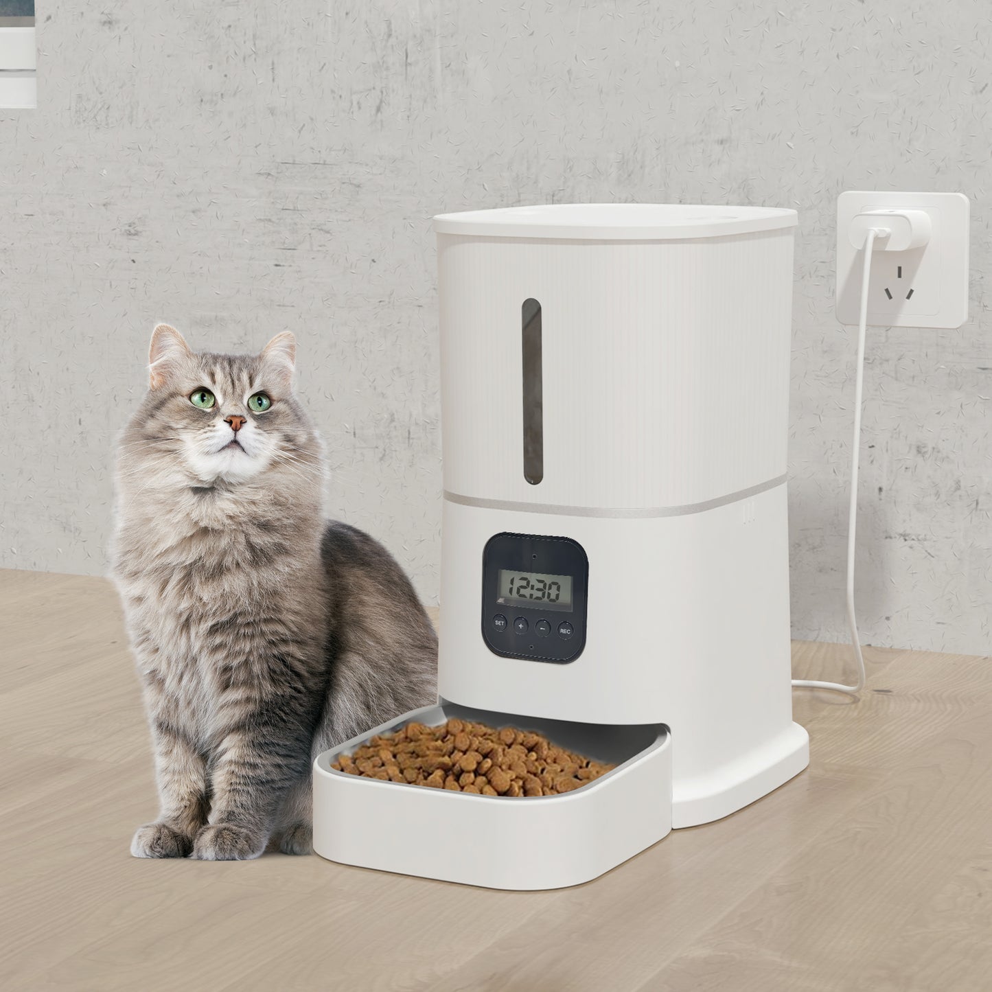 Pulse Feeder with Keyboard
